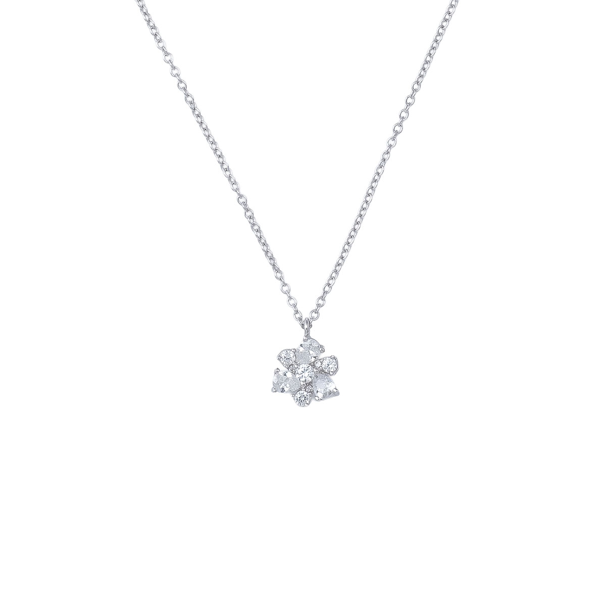 Fiore_0017_Layer-132